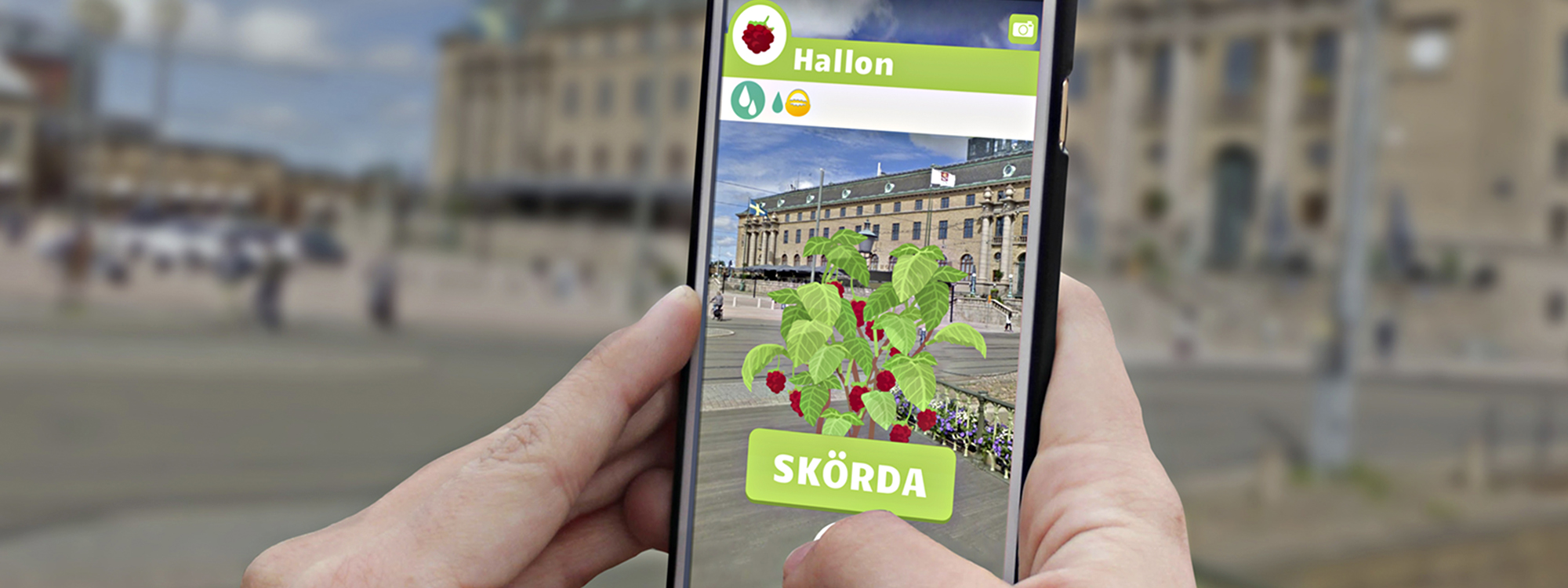 Spelar GoGlad i Smartphone och skördar en hallonplanta